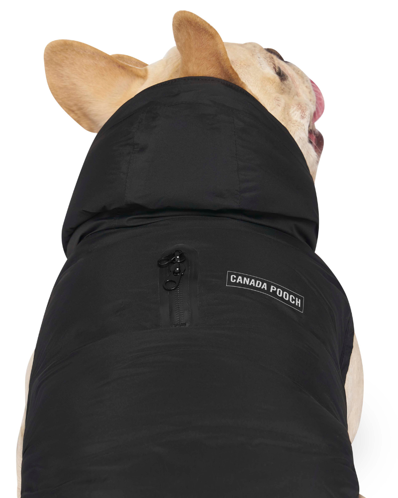 Insulated Waterproof Dog Puffer in Black Wear CANADA POOCH   