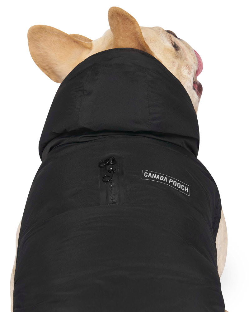 Canada goose dog jacket black 2025
