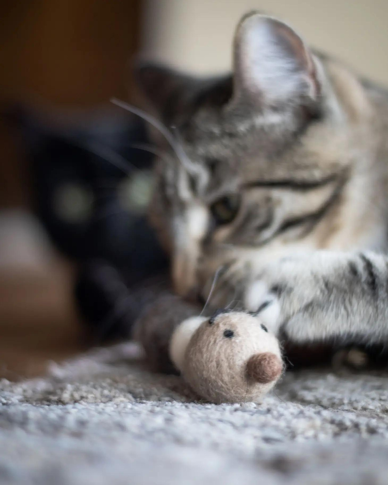 Brownie the Caterpillar Natural Wool Cat Toy CAT FRIENDSHEEP   