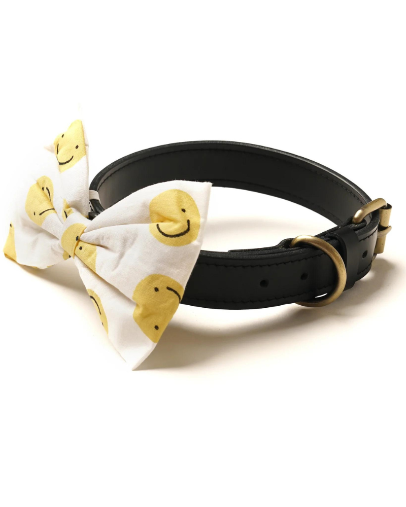 THE PAWS | Bishop Dog Bandana | DOG & CO.
