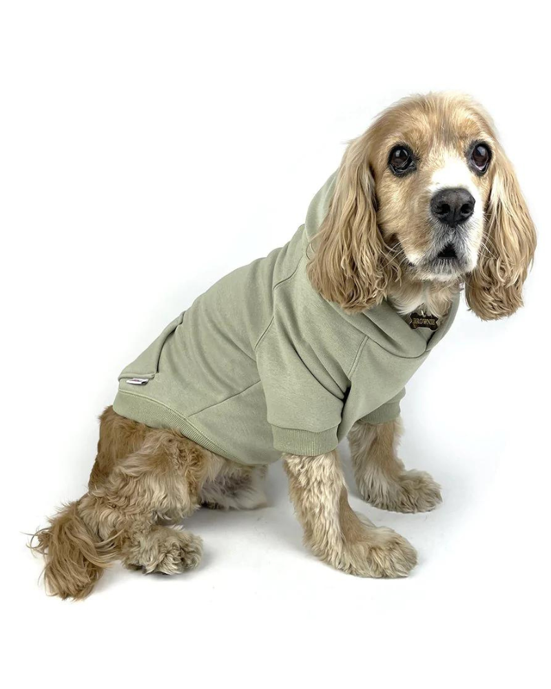 Pullover Dog Hoodie in Sage (FINAL SALE) Wear MILLTOWN BRAND   
