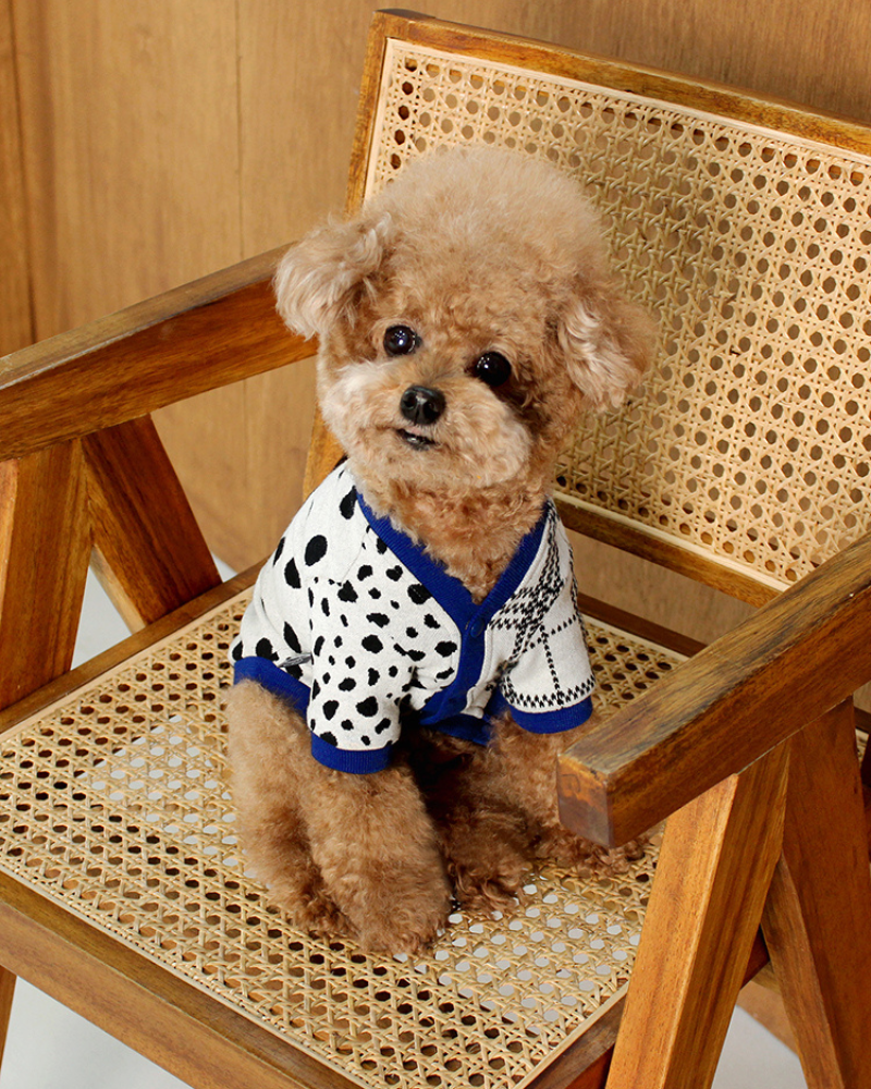 Dalmatian Dot Cardigan for Dogs (FINAL SALE) Wear HUTS & BAY   