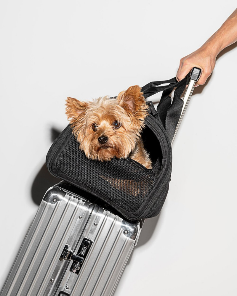 All-Travel Pet Carrier in Black Carry WILD ONE   