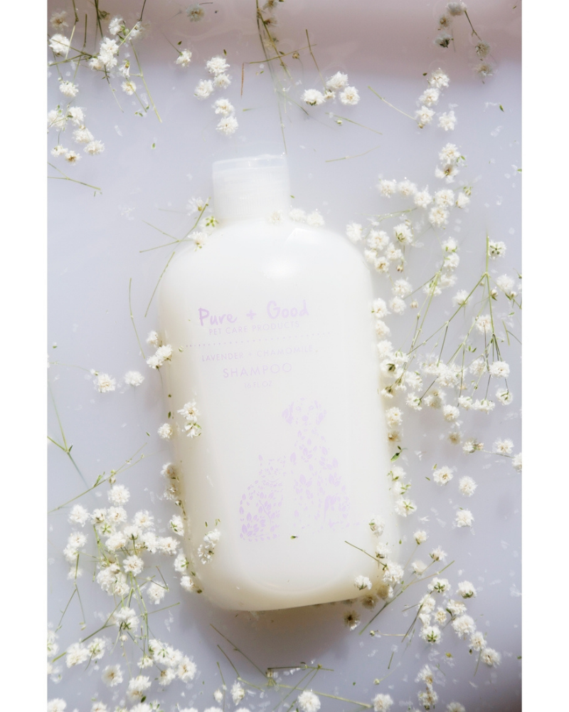Purifying Shampoo for Dogs & Cats in Lavender & Chamomile HOME PURE + GOOD   