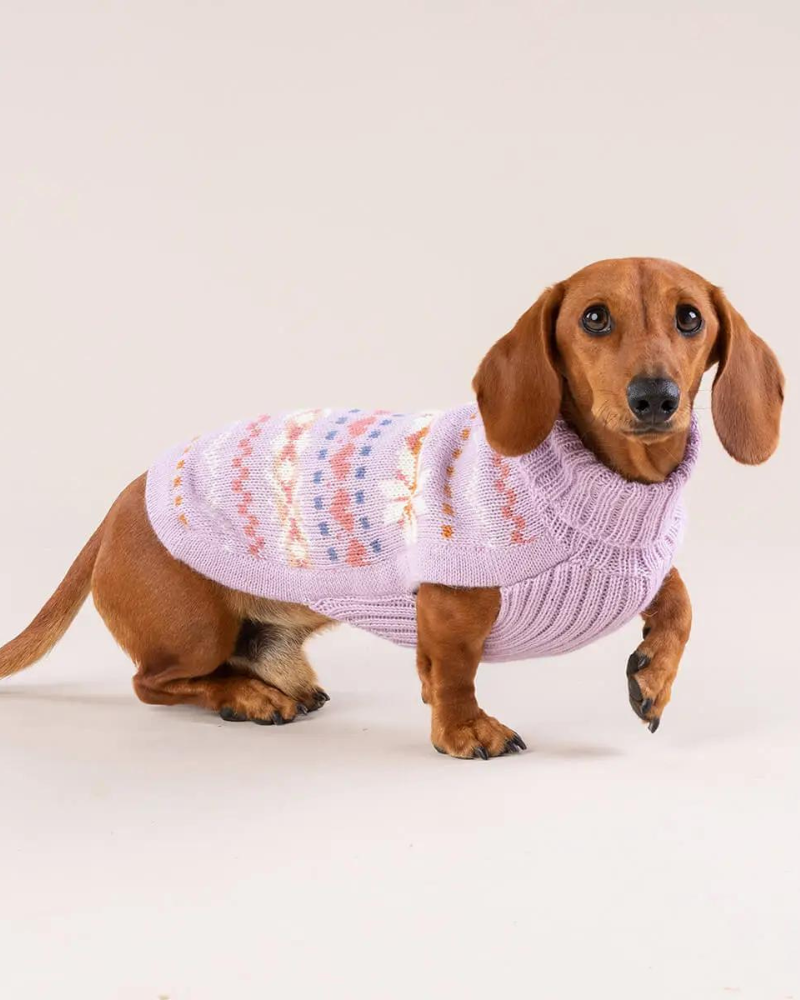 Lavender Sunrise Alpaca Blend Dog Sweater (FINAL SALE) Wear ALQO WASI   