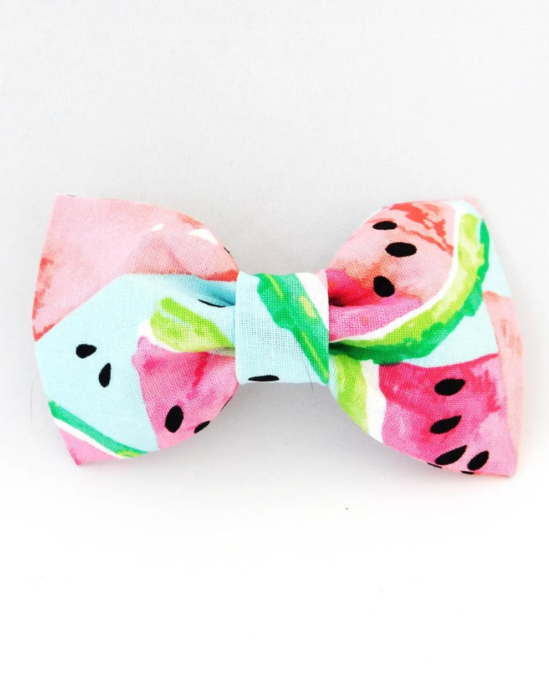 Watermelon Dog Bow Tie<br>(Made in the USA) (FINAL SALE) Wear CHARLOTTE'S PET   
