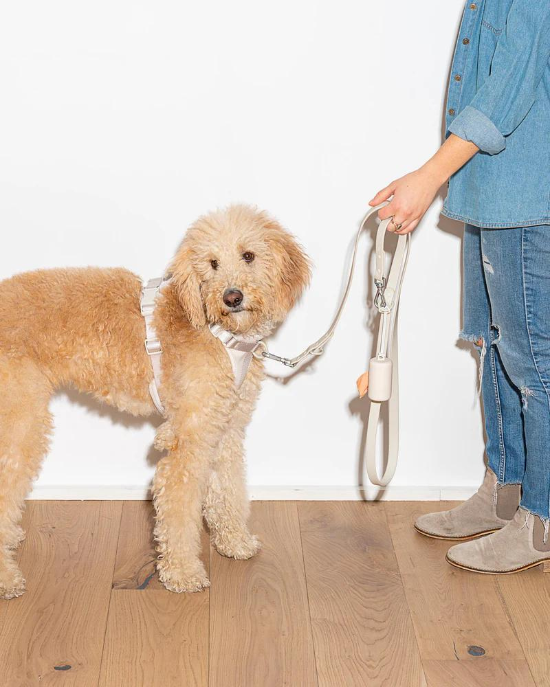 Durable Dog Leash in Grey WALK WILD ONE   