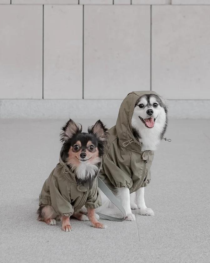 Brooklyn Nylon Water Resistant Dog Jacket (FINAL SALE) Wear LAMBWOLF COLLECTIVE   