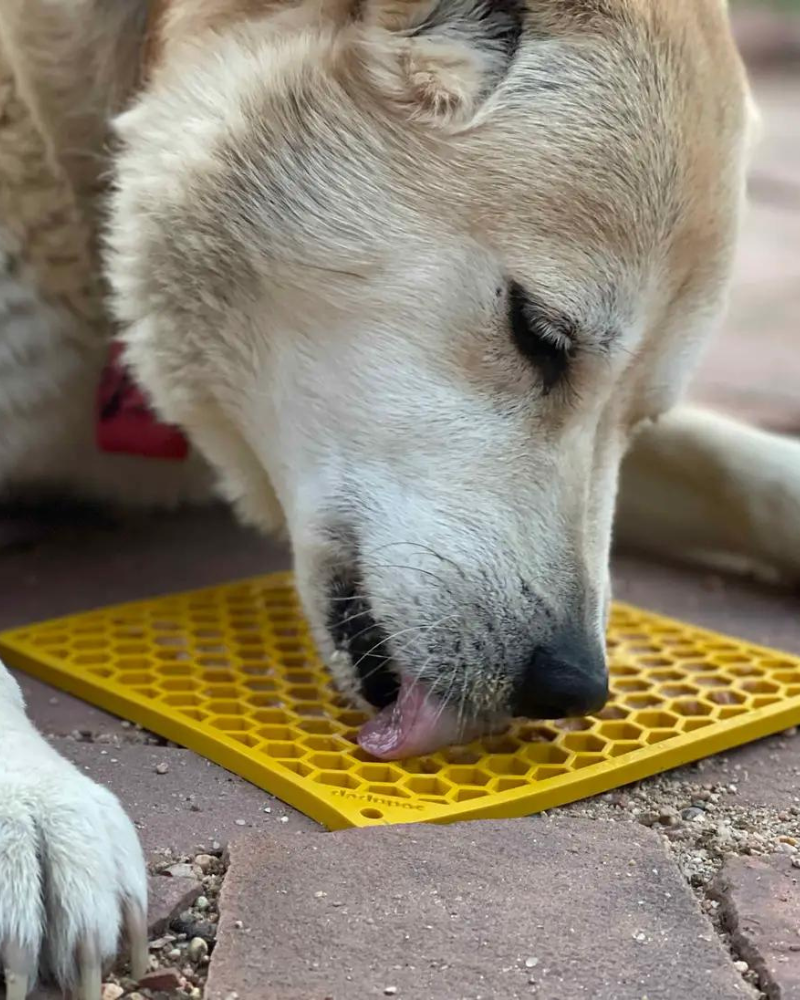 Honeycomb Dog Lick Mat (Made in the USA) Eat SODA PUP   