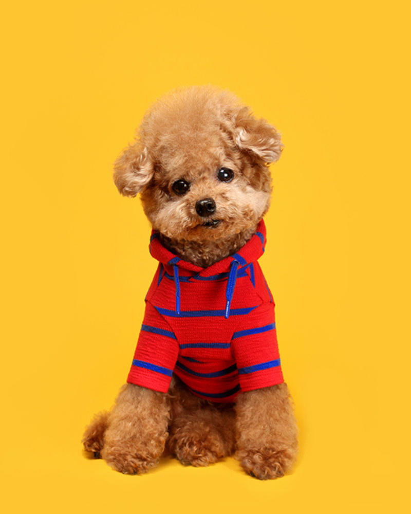 Stripe Dog Hoodie (FINAL SALE) Wear HUTS & BAY   