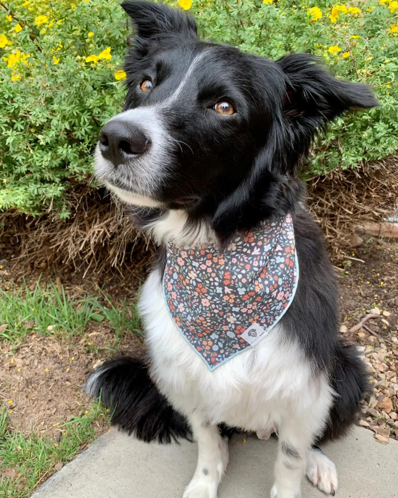 Ditzy Floral Dog Bandana<br>(Made in the USA) (FINAL SALE) Wear THE SOCIAL DAWG   