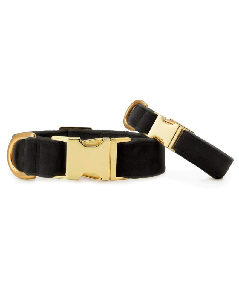 Black Velvet Dog Collar (Made in the USA) WALK THE FOGGY DOG   