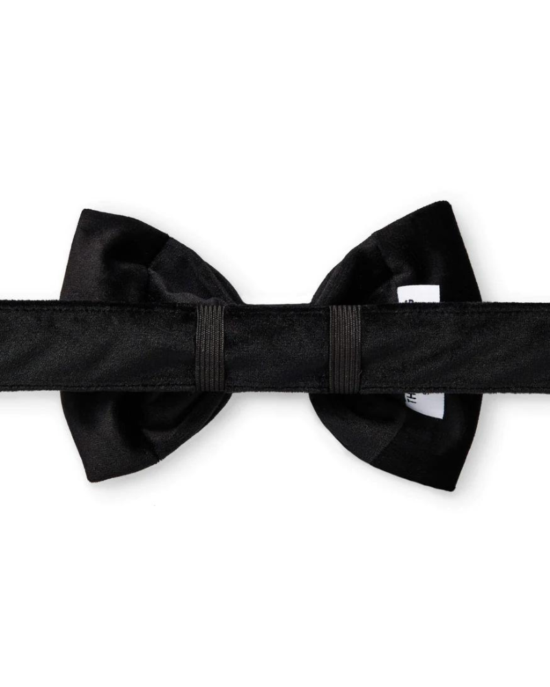 Black Velvet Dog Bow Tie (Made in the USA) Accessories THE FOGGY DOG   