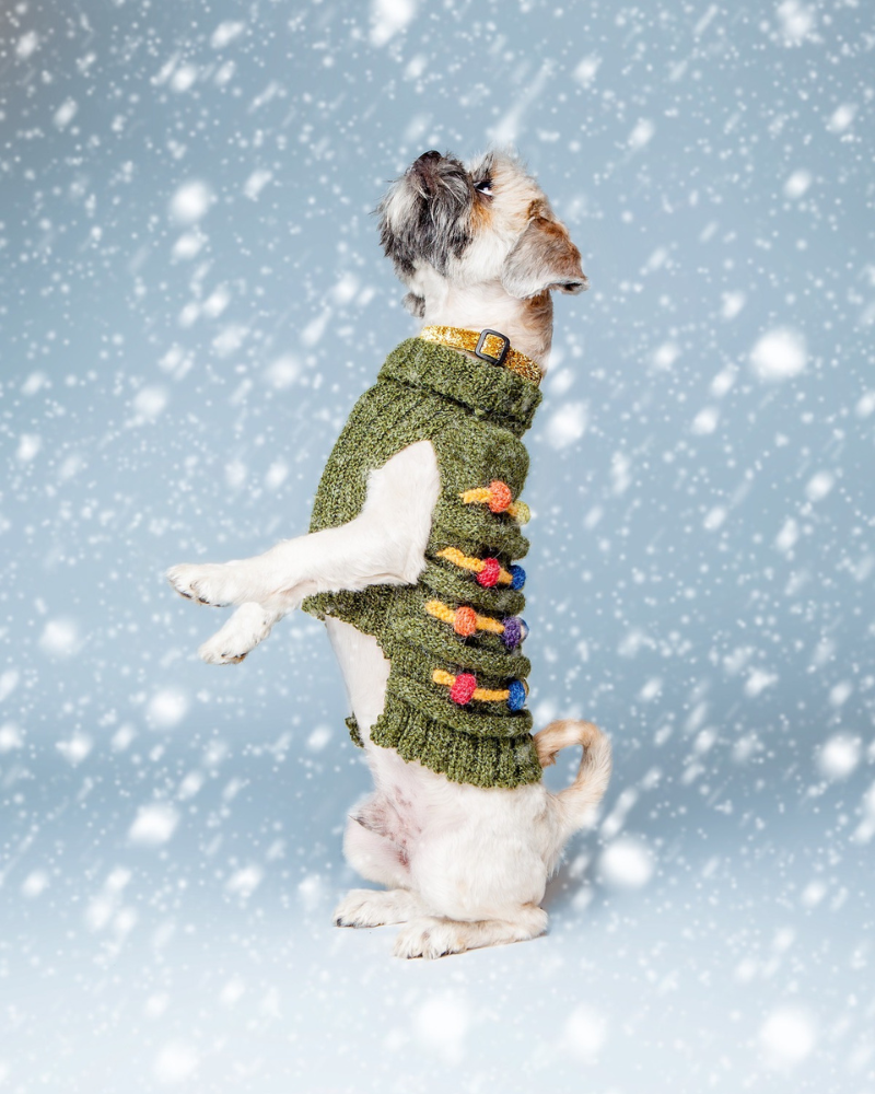 Christmas Tree Hand Knit Dog Sweater Wear PERUVIAN KNITS   