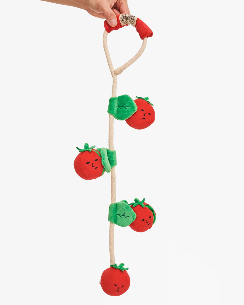 Cherry Tomato Nose Work & Tug Dog Toy Play THE FURRYFOLKS   