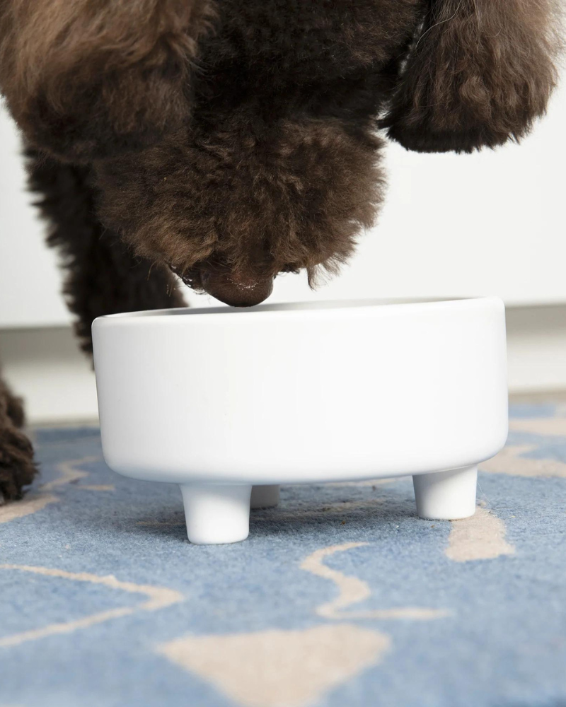 Uplift Ceramic Dog Bowl in White (FINAL SALE) Eat WAGGO   