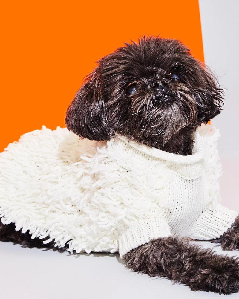 Hairy Wool Blend Dog Sweater in Ivory (FINAL SALE) Wear WARE OF THE DOG   