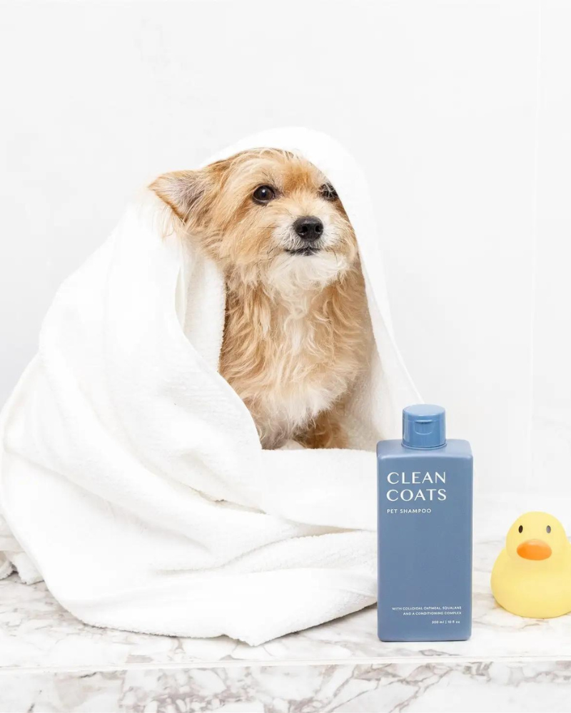 Sensitive Dog Shampoo (Fragrance Free) (FINAL SALE) HOME CLEAN COATS   