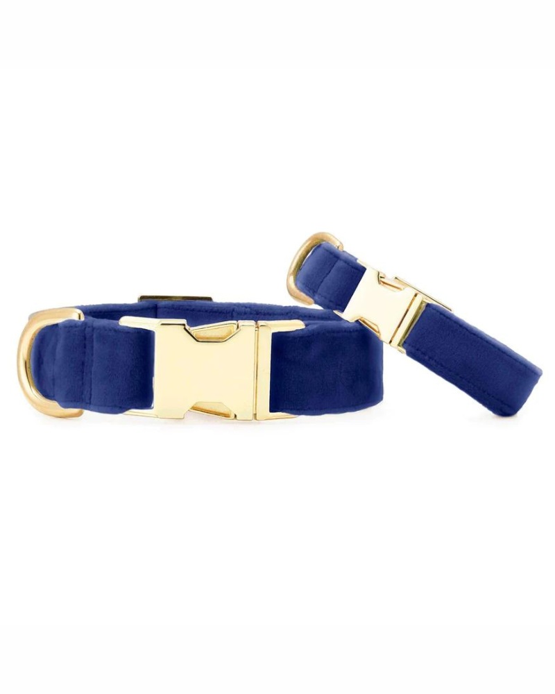 Navy Velvet Dog Collar (Made in the USA) (FINAL SALE) WALK THE FOGGY DOG   