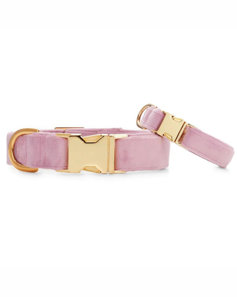 Lilac Velvet Dog Collar (Made in the USA) (FINAL SALE) WALK THE FOGGY DOG   