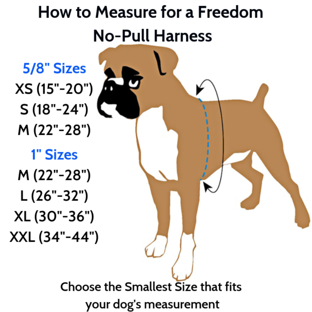Freedom No-Pull Harness in Sugar (Made in the USA) (CLEARANCE) WALK 2 Hounds Design   