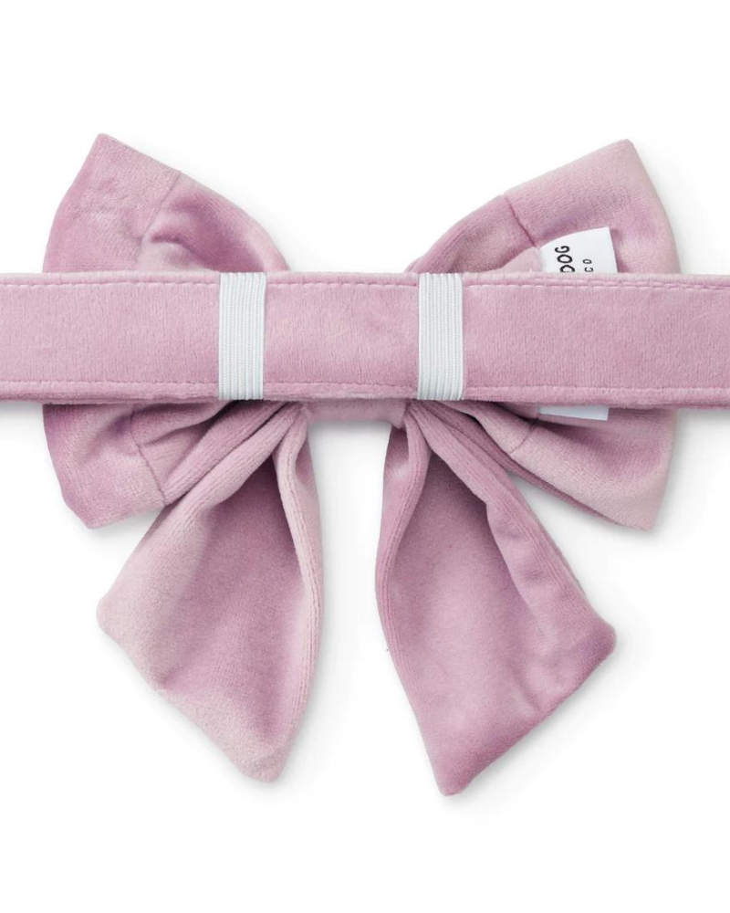 Lilac Velvet Lady Dog Bow Accessories THE FOGGY DOG   
