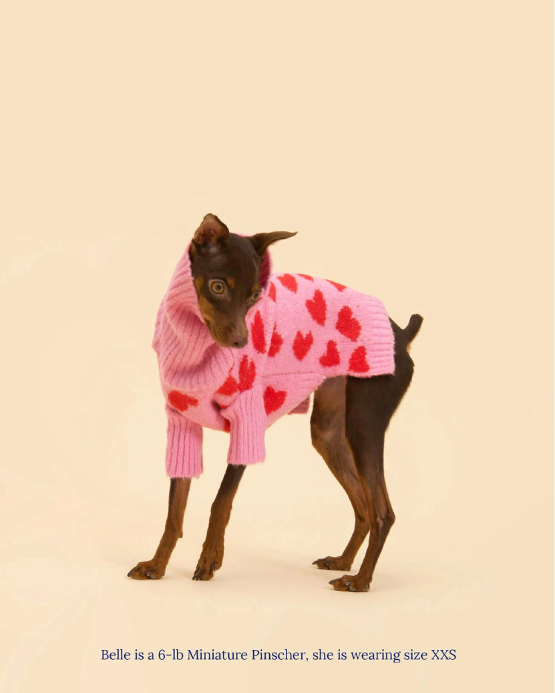 "The Love" Dog Sweater (FINAL SALE) Wear LITTLE BEAST   