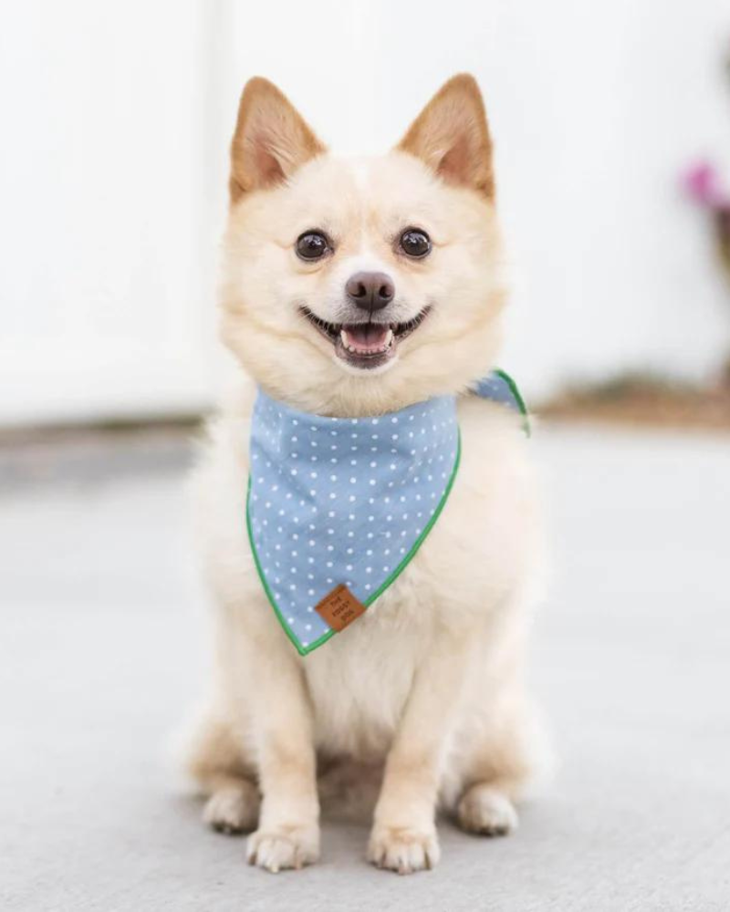 Chambray Dots Dog Bandana Wear THE FOGGY DOG   