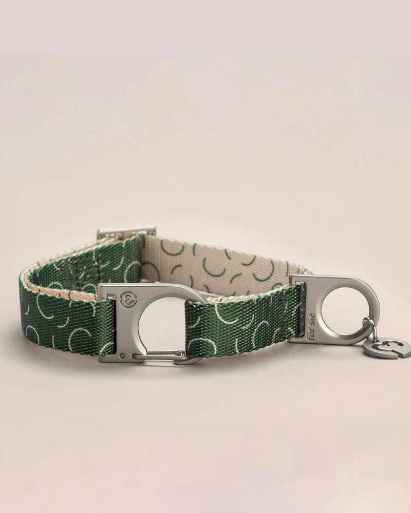 Sabine Vegan Dog Collar (FINAL SALE) WALK FUR SIE   