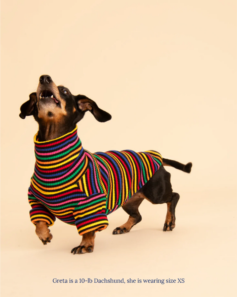 Fantastic Ribbed Dog Pullover (FINAL SALE) Wear LITTLE BEAST   