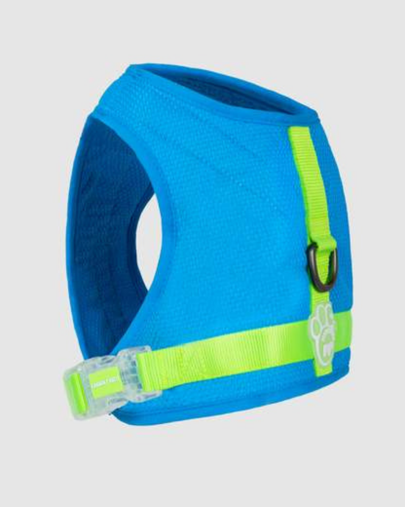 Chill Seeker Cooling Dog Harness in Blue and Green << CLEARANCE >> WALK CANADA POOCH   