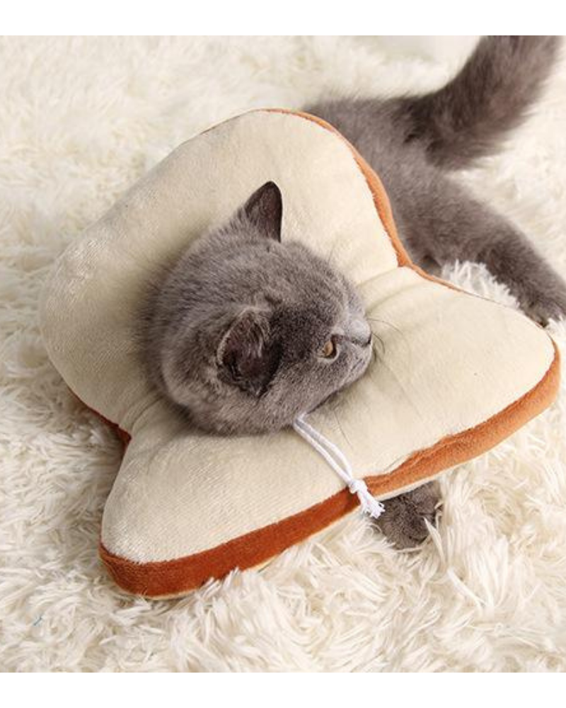 Small Dog or Cat Bread Cone Wear PAWSOME PETS   