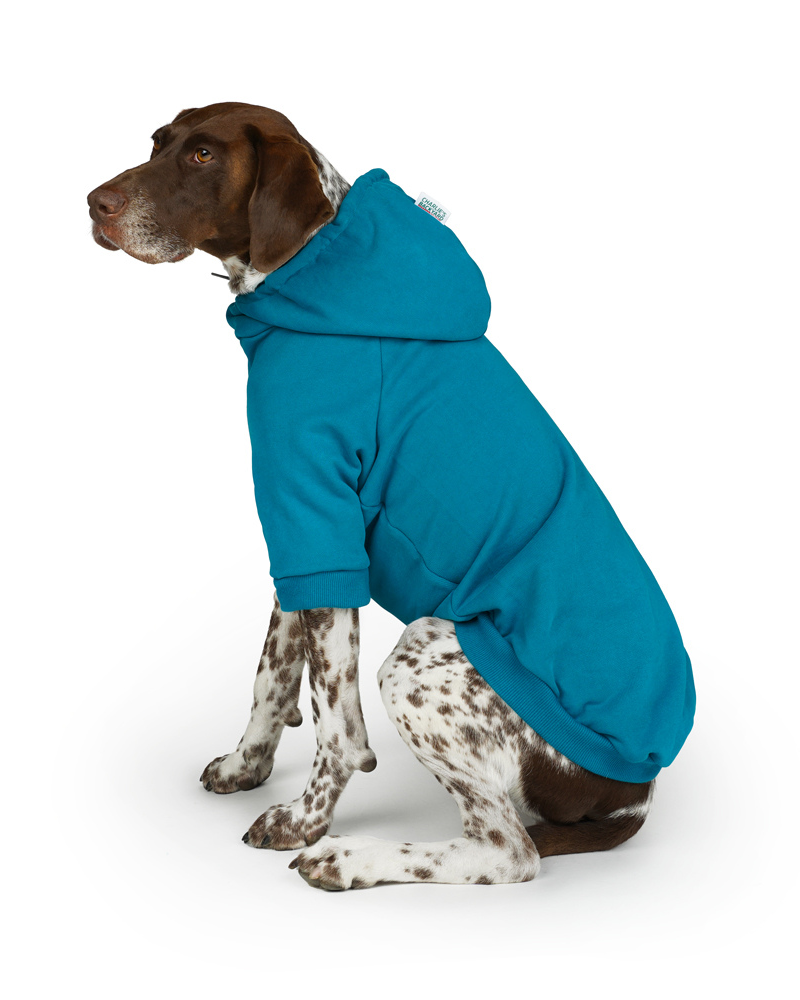 Dog Hoodie in Teal (CLEARANCE) Wear CHARLIE'S BACKYARD   