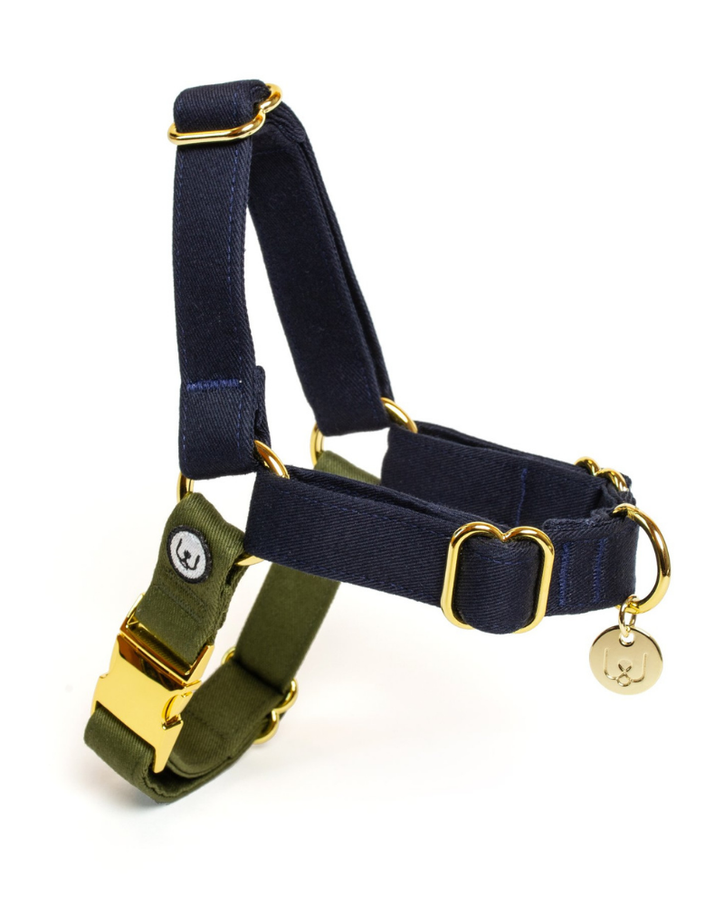 Adjustable No-Pull Dog Harness in Navy & Olive WALK EAT PLAY WAG   