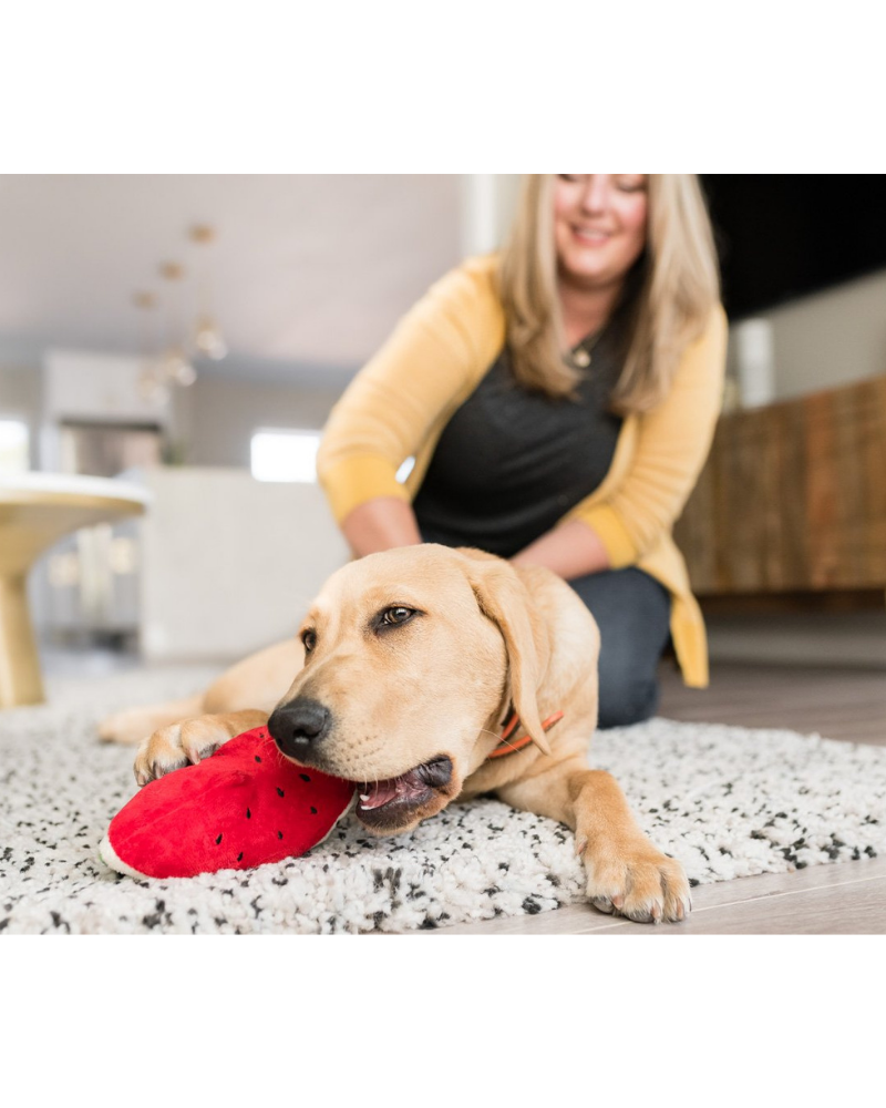 Wagging Watermelon Plush Dog Toy Play P.L.A.Y.   