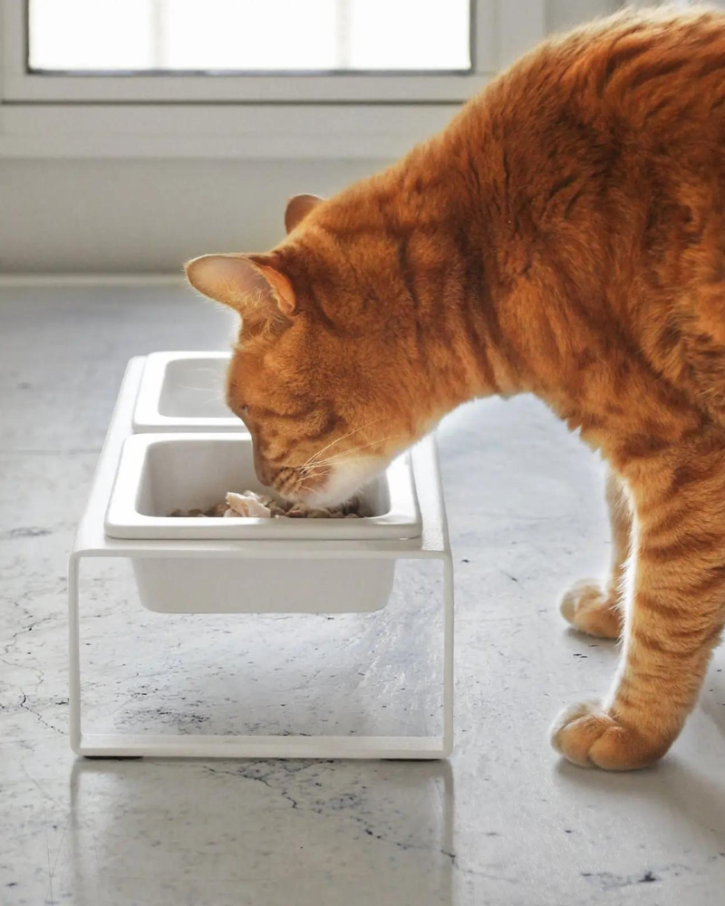 Tower Pet Food Bowl in White Eat YAMAZAKI   