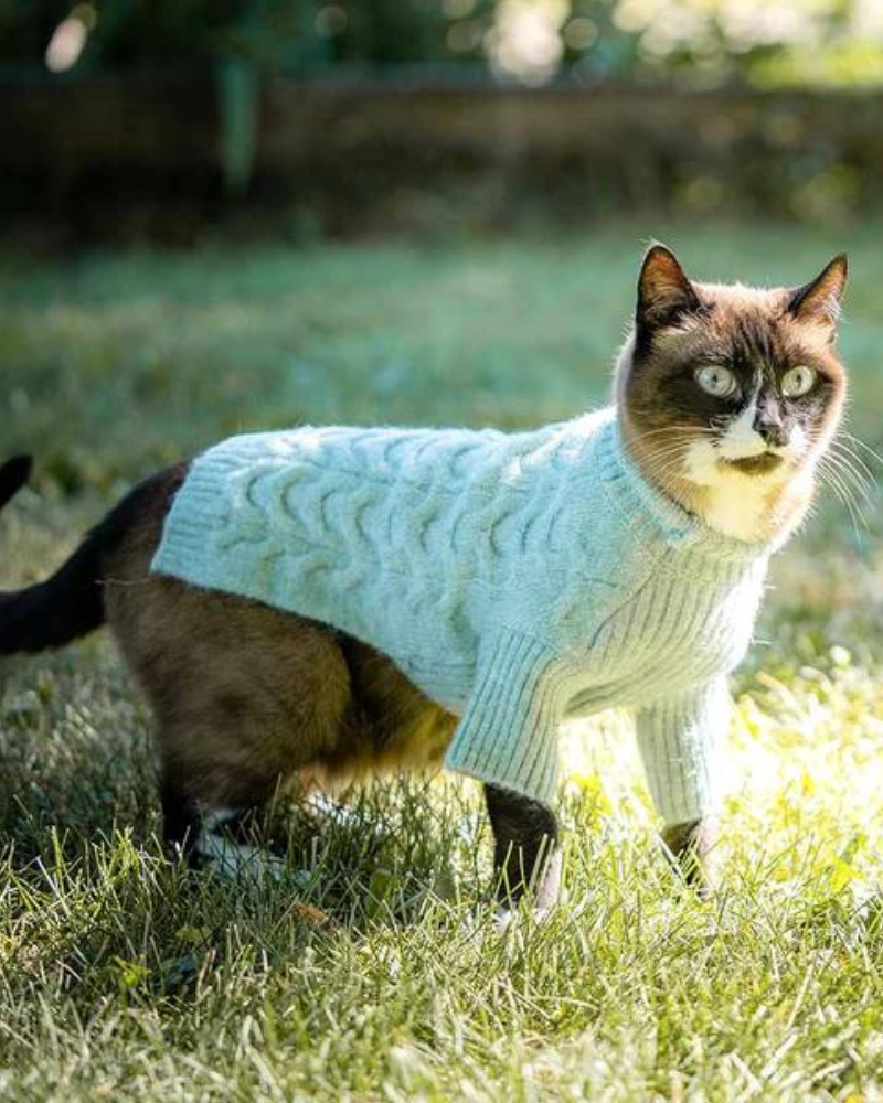 Fuzzy Knit Dog Turtleneck Sweater in Heathered Jade Wear BLUEBERRY PET   