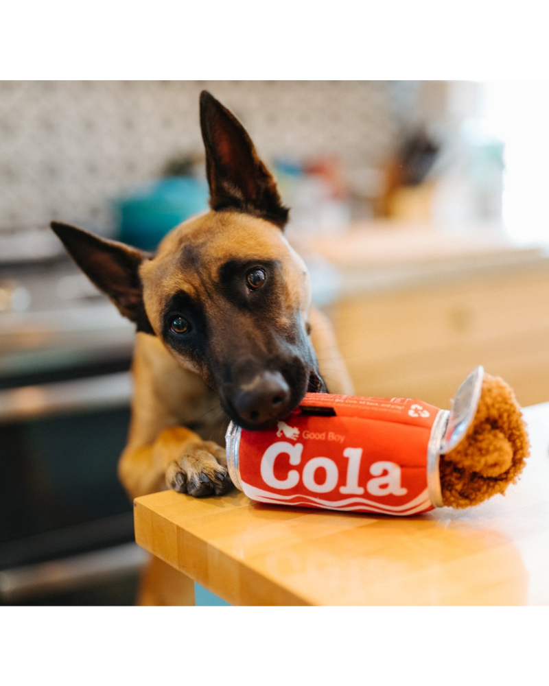 Good Boy Soda Cola Dog Toy Play P.L.A.Y.   