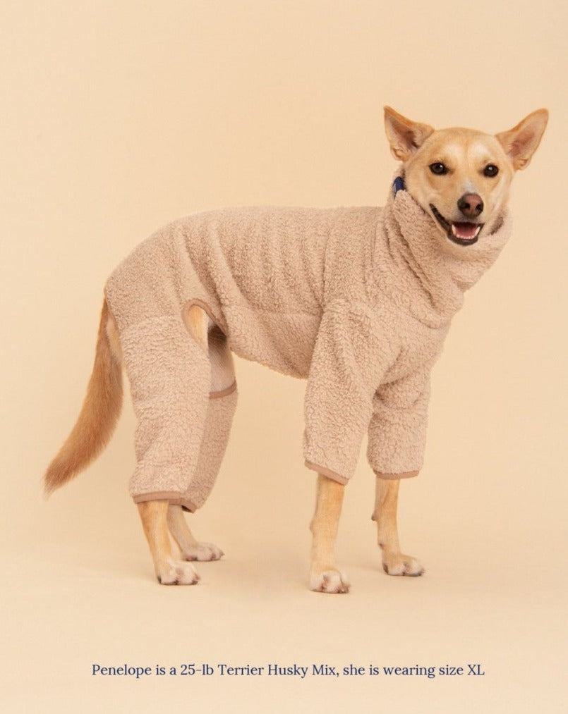 LITTLE BEAST | The Pablo Fleece Onesie | DOG & CO.
