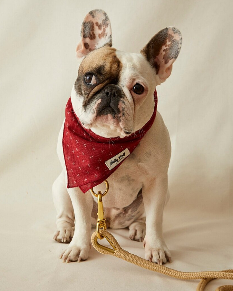 Val Dog Bandana (Made in the USA) << FINAL SALE >> Wear BILLY WOLF   