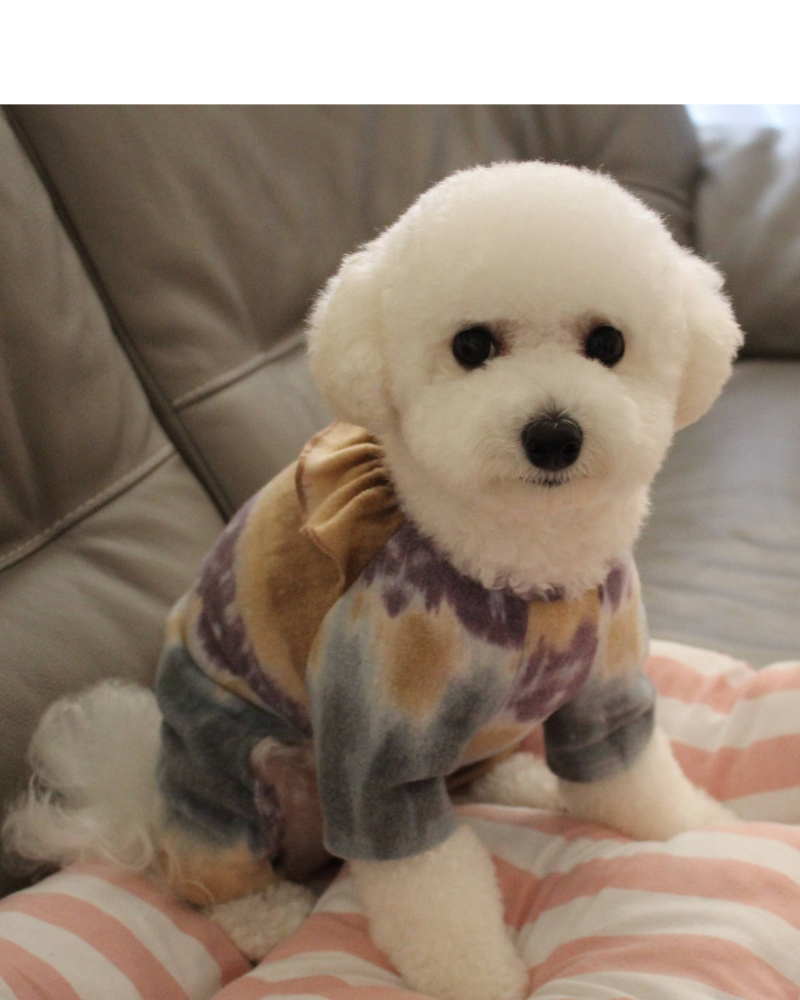 Tie-Dye Ruffle Dog Onesie (Made in the USA) << FINAL SALE >> Wear RENEE C   