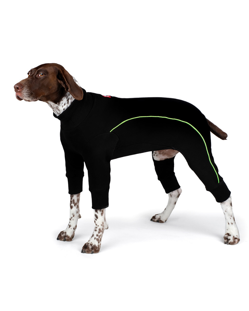 Bruce Warmer Dog Onesie in Black << CLEARANCE >> Wear CHARLIE'S BACKYARD   