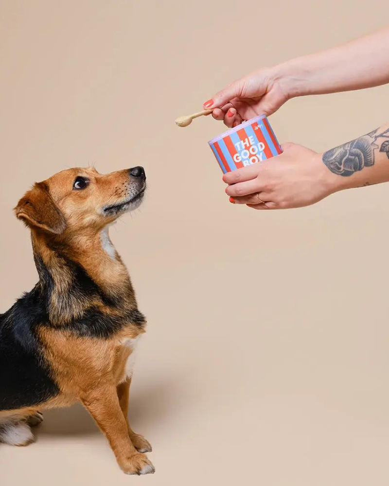 The Good Boy 5-In-1 Multivitamin for Dogs Eat JAMPY   