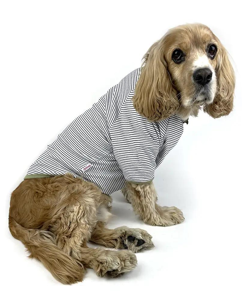 Rib Dog T-Shirt in White & Sage Stripe (CLEARANCE) Wear MILLTOWN BRAND   