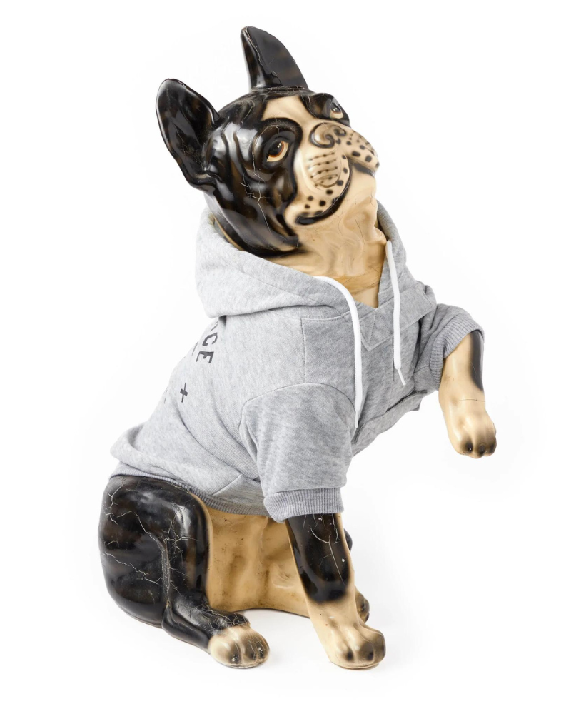 Obedience School Dropout Dog Hoodie (FINAL SALE) Wear BRASS MONKEY   