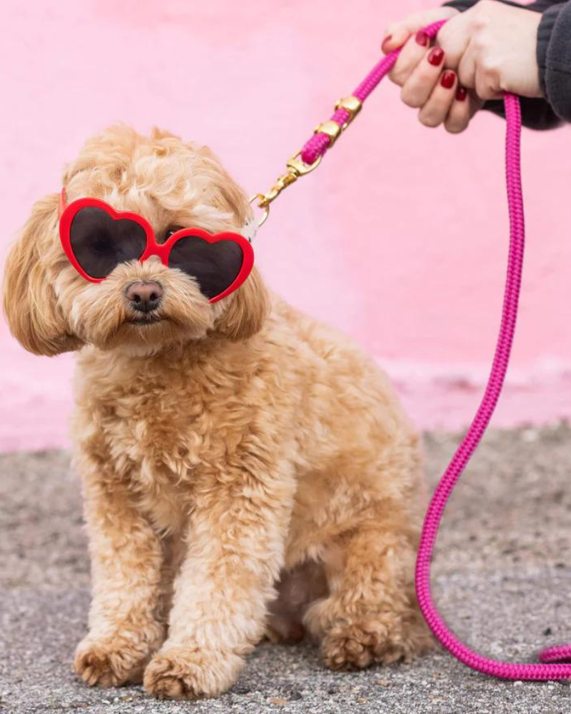 Hot Pink Marine Rope Dog Leash<br>(Made in the USA) WALK THE FOGGY DOG   