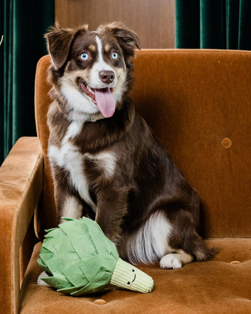 INJOYA | Snail Dog Toy Interactive & Snuffle | DOG & CO.
