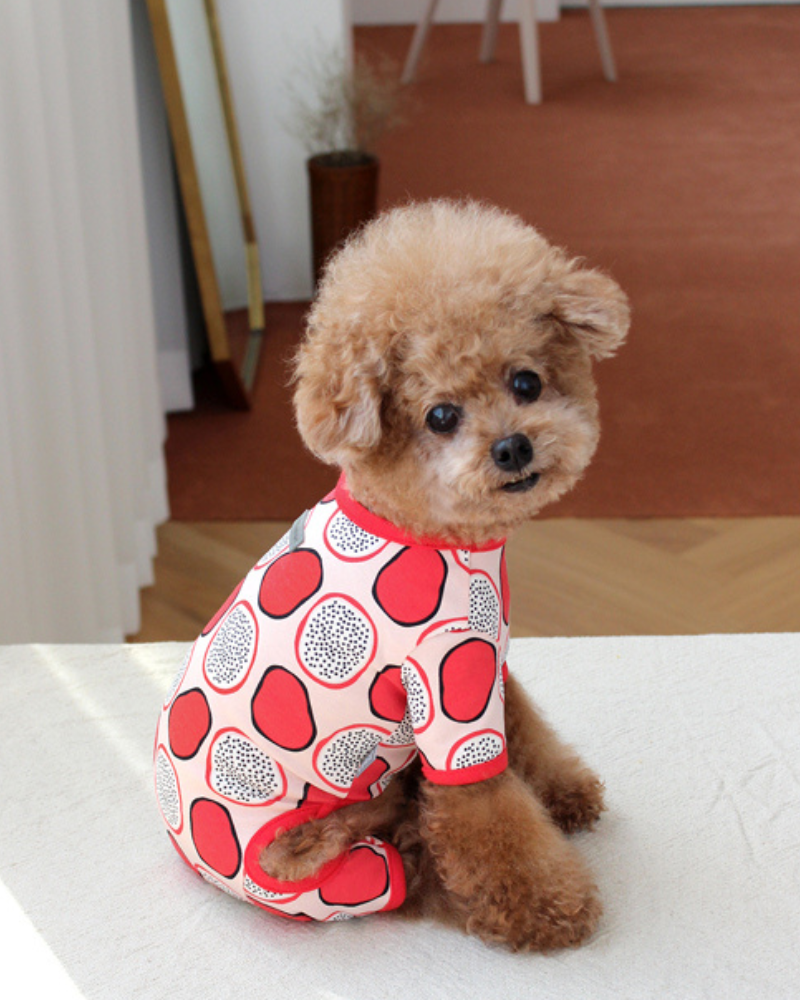 Dragonfruit Print Dog Onesie (FINAL SALE) Wear HUTS & BAY Small  