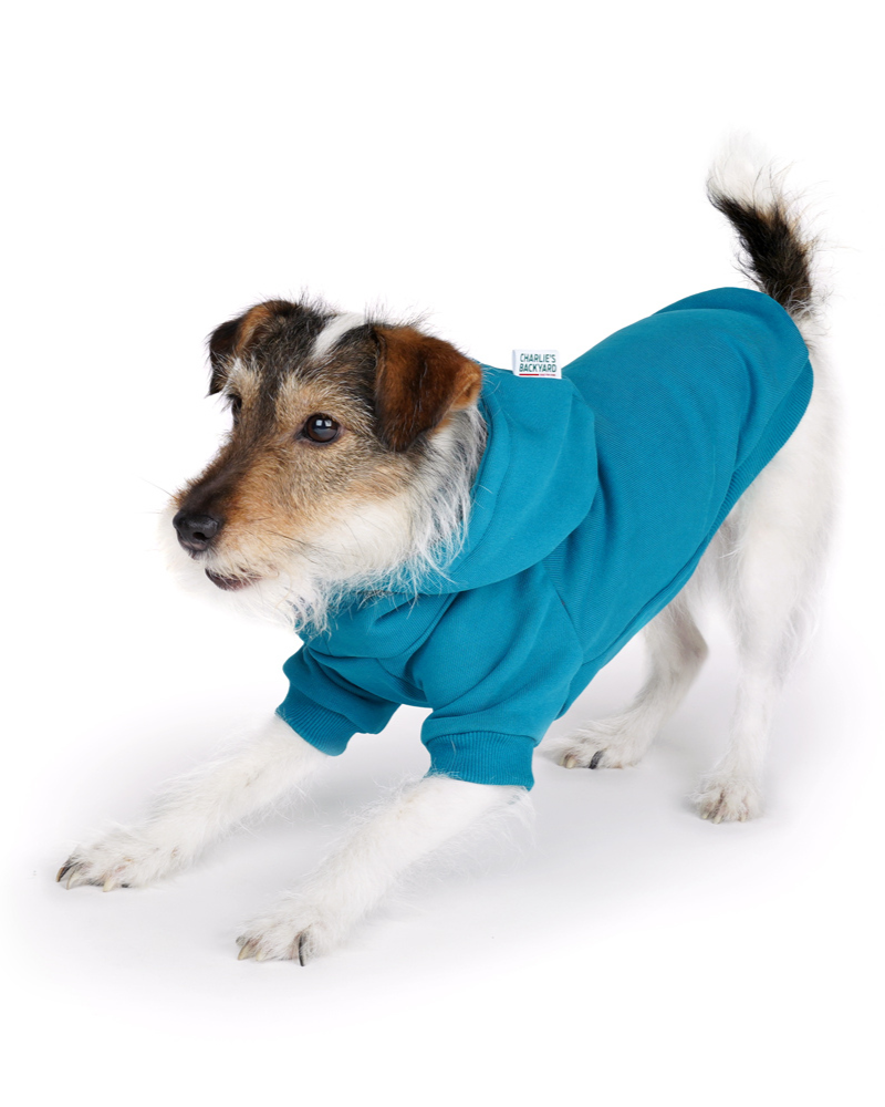 Dog Hoodie in Teal (CLEARANCE) Wear CHARLIE'S BACKYARD   