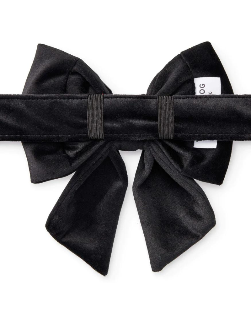 Black Velvet Dog Lady Bow (Made in the USA) (FINAL SALE) Wear THE FOGGY DOG   